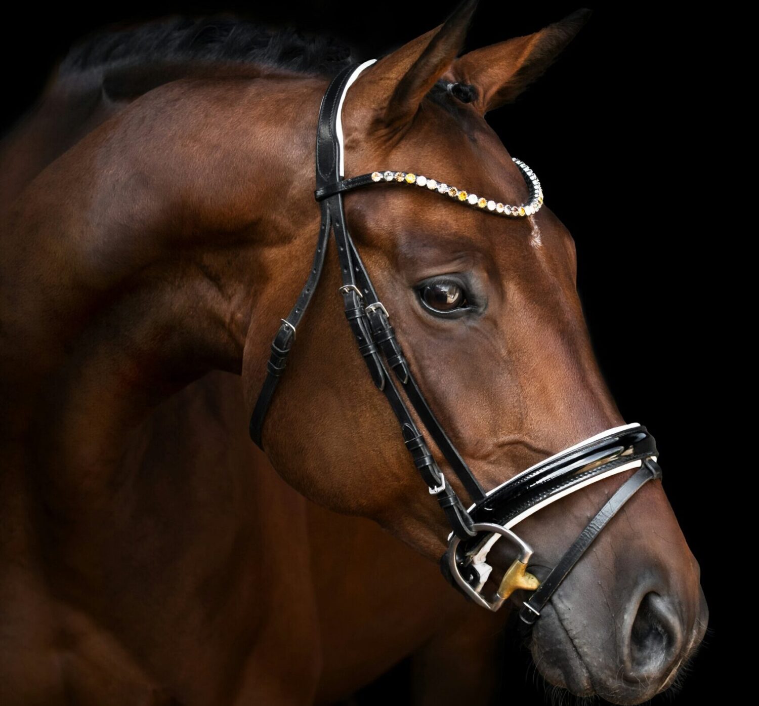 Scopri di più sull'articolo Equitazione: lo special event della Giostra della Quintana conquista Faenza