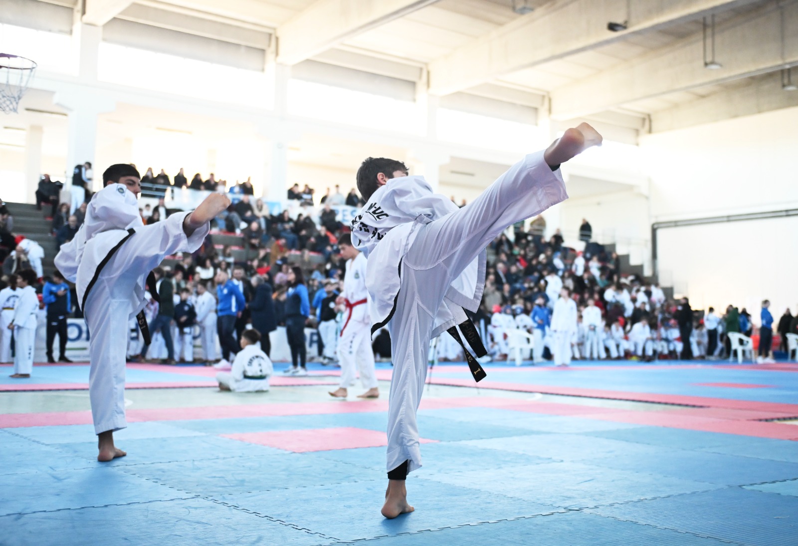 Taekwondo, selezionati 4 atletiper gli Europei di CReta