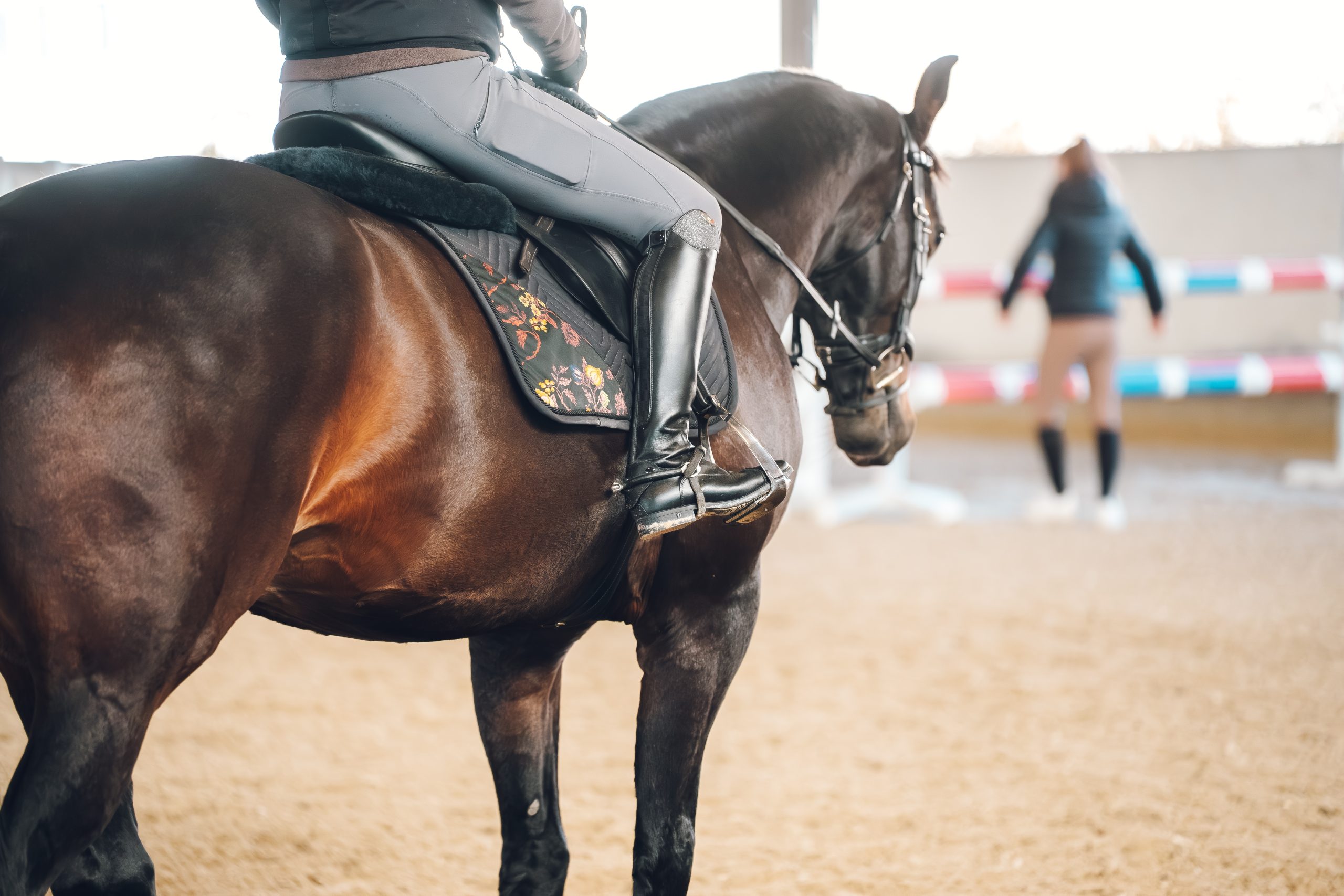 Scopri di più sull'articolo Equitazione OPES: un autunno di grandi eventi tra tradizione, gimkana e dressage