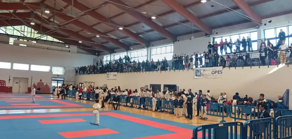 karate enzo cappelli